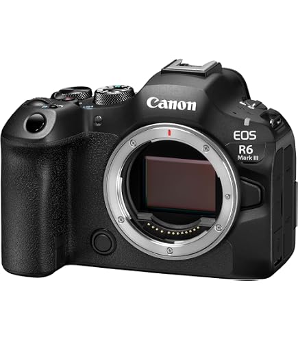 【ひー】 美品Canon EOS R6 Mark II ボディ Canon EOS R6 Mark II Mirrorless Camera